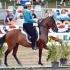 Paso Fino Pleasure_Amateur Owner [Class 650]